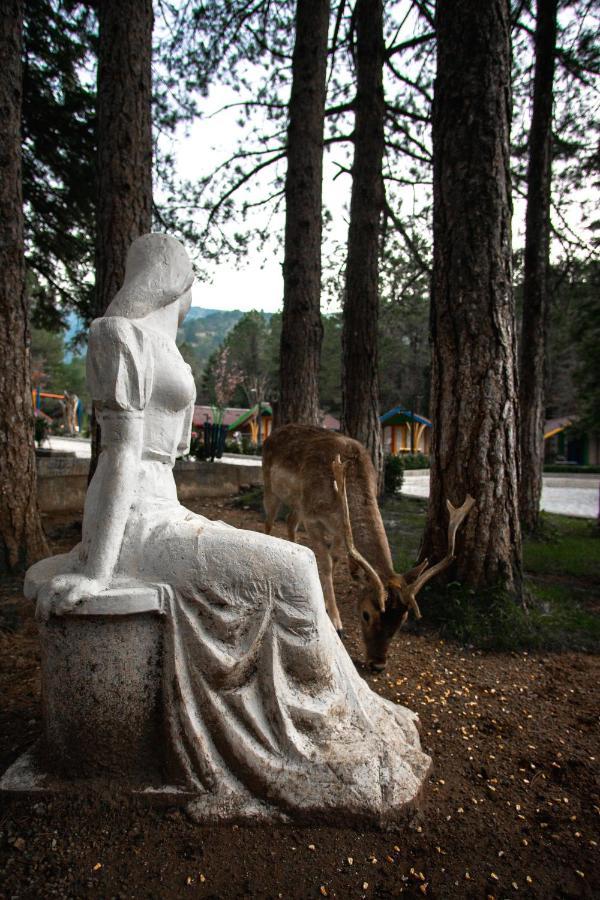 Te'Dreri - Llogora Tourist Village Dhërmi 외부 사진